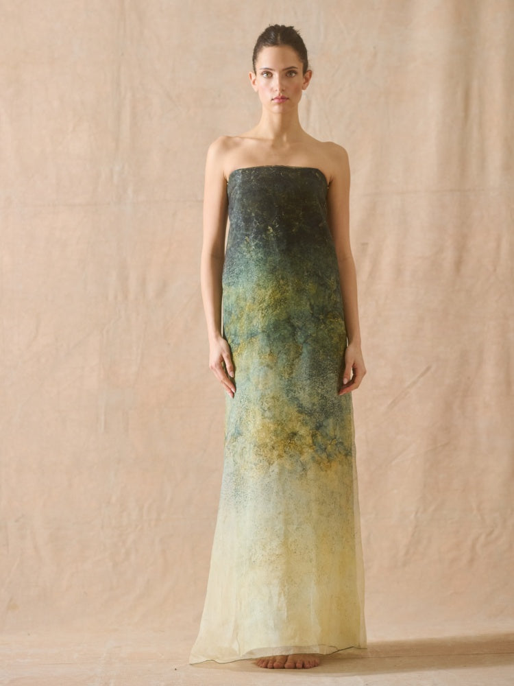 Strapless Ombre Silk Gown
